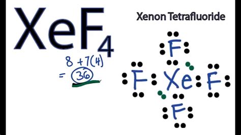 xef4 structure